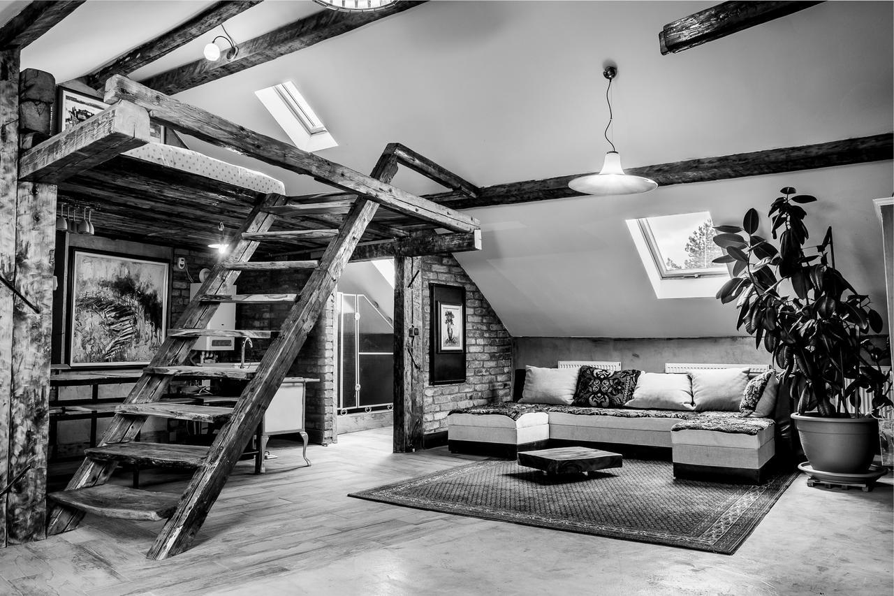 Central Cluj Apartments المظهر الخارجي الصورة